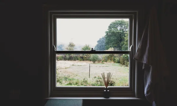 View of garden and trees through sash window.