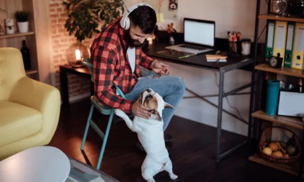 Freelancer working from home and playing with his dog