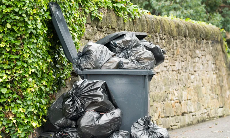 Overflowing Wheelie Bin