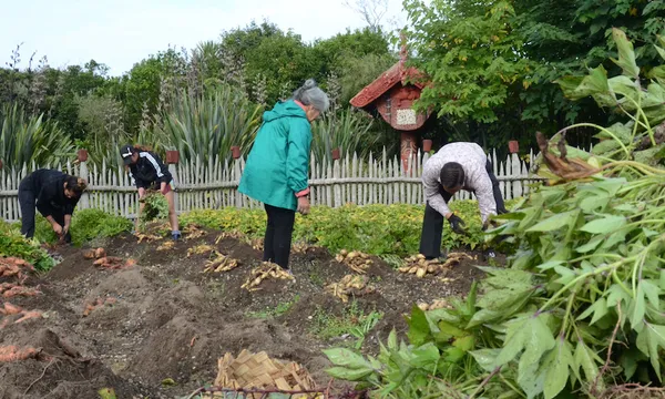 Garden_-_TeParapara_-_Slider_-_001