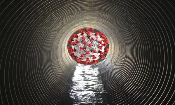covid-sewer