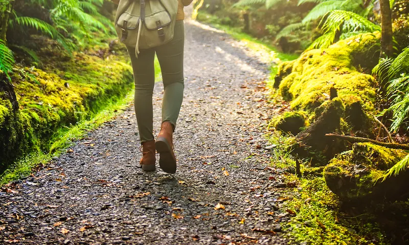 woman walking on winding path in lush green forest