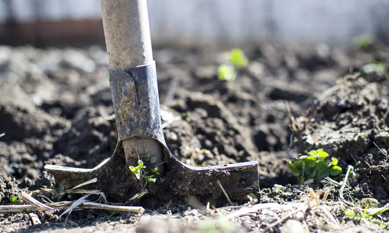 Shovel digging dirt