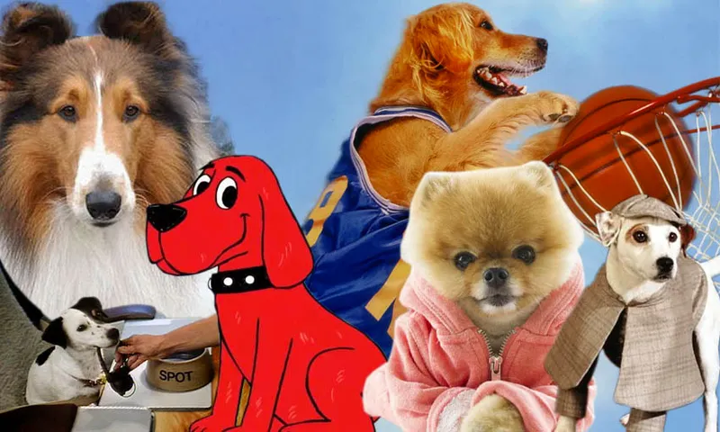 dogo