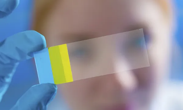 Scientist examining microscope slide