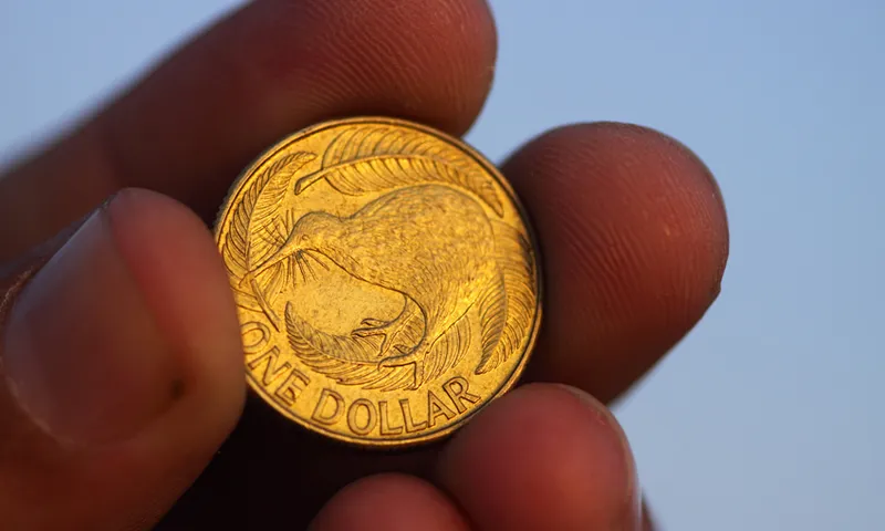 New zealand dollar in hand