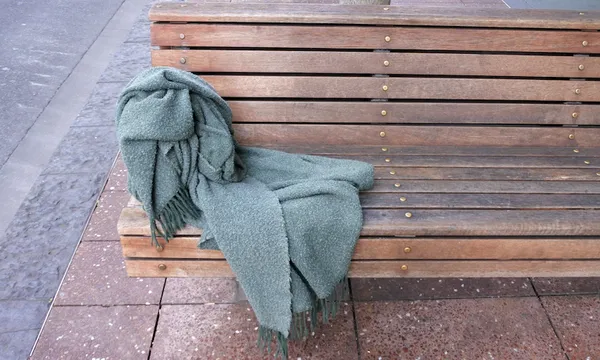 Homeless Person Blanket on a street  Bench