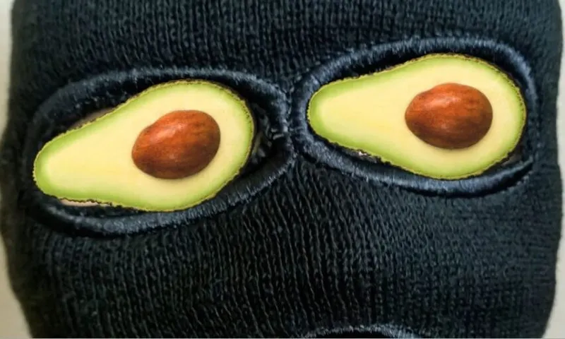 avo-thief
