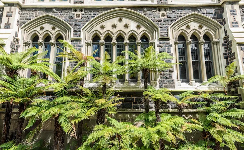 Old neo-Gothic main building, University of Otago, with tree ferns (Cyatheales), Dunedin, Otago region, New Zealand