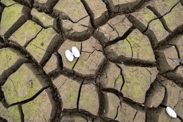 watercare_low_dams_lower_nihotupu_13may_2020_