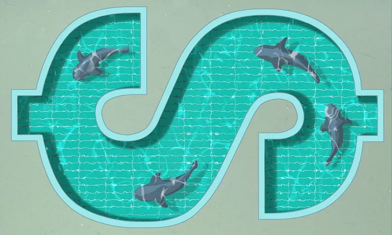 A dollar sign shaped swimming pool with four sharks swimming in it