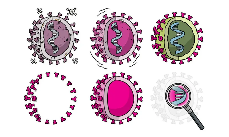 Types of Vaccines Header