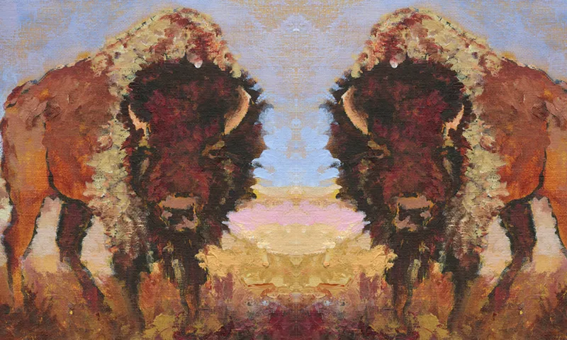 buffalo
