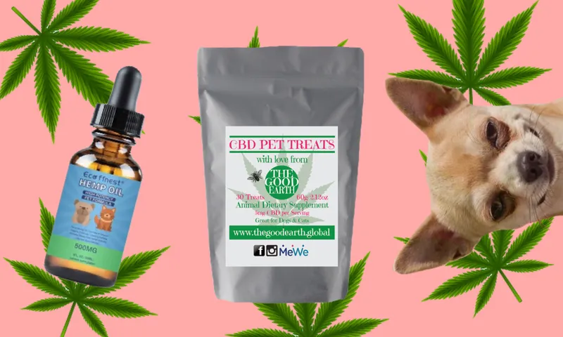 cannabis pets