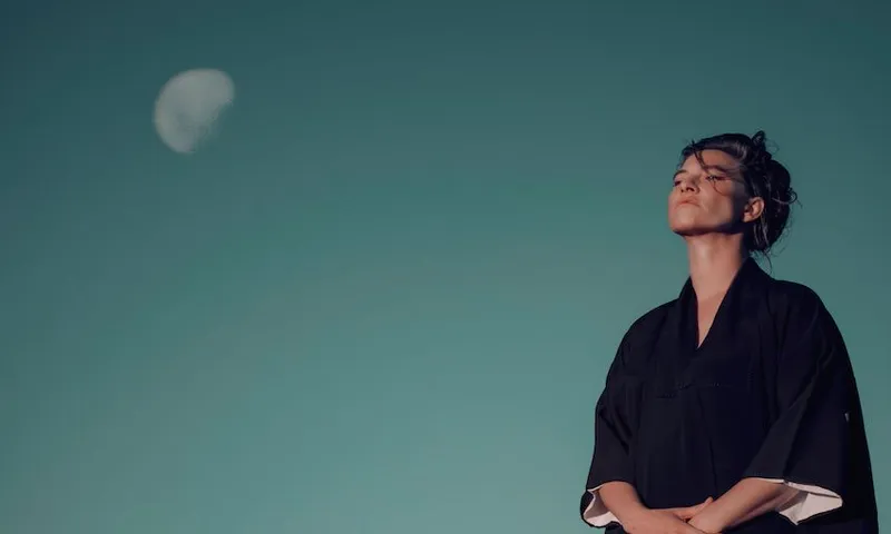 amanda palmer