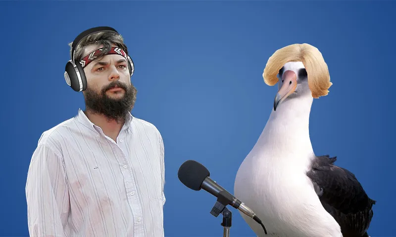 albatross_marcus_001