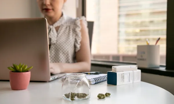 Female Cannabis Entrepreneur working on Marketing for Marijuana Business in Bright, Soft Lit Office