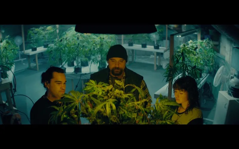 Actors Tia Maipi, Troy Kingi and Tatum Warren-Ngata standing around the cannabis plants they've grown in the film Toke.