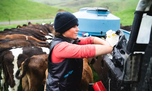 Woman working at dairy farm