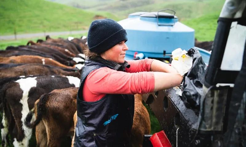 Woman working at dairy farm