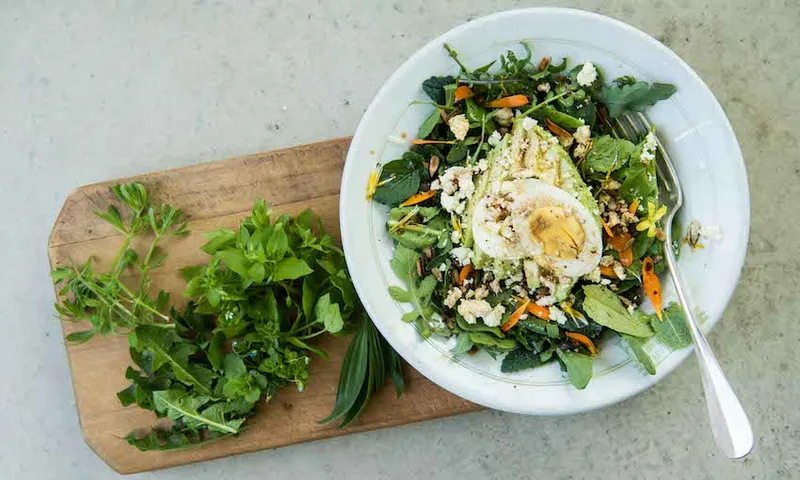 Edible Weed Salad (1 of 1)