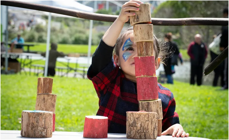 wiriplayground2