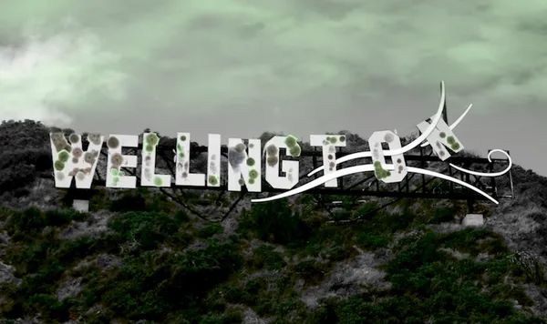 Wellington sign on hill