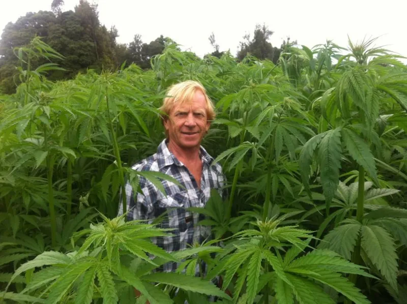 Dave Jordan, chief executive of Hemp NZ and its subsidiary Hemp Farm. Photo / Supplied