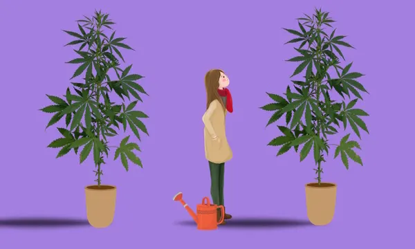 Catherine_2 plants