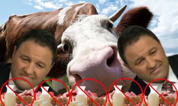 garnervegan
