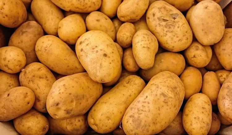 potatoes-411975_960_720