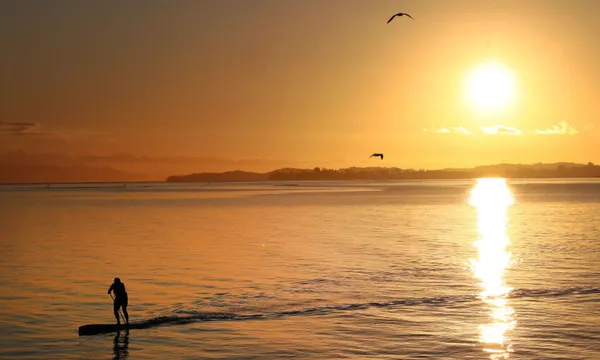 Auckland In Lockdown After New Zealand Records New Coronavirus Cases