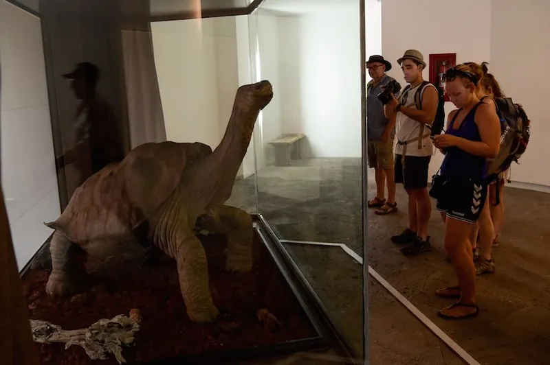 ECUADOR-GALAPAGOS-TORTOISE-LONESOME GEORGE
