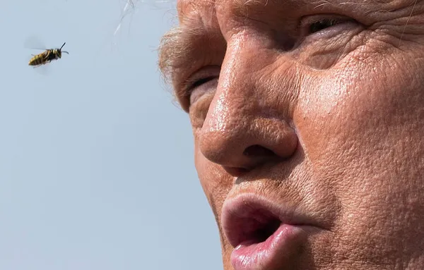 US-VOTE-TRUMP