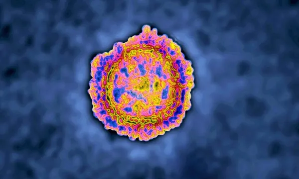Coronavirus (CoV). virus of the family Coronaviridae and of the subfamily Orthocoronavirinae. It is a pathogen of respiratory syndromes. View from a transmission electron microscopy (TEM) image. Viral diameter 80nm to 100nm.