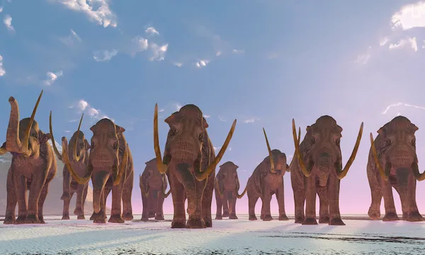 A herd of Columbian Mammoths migrate to a warmer climate as winter sets in.