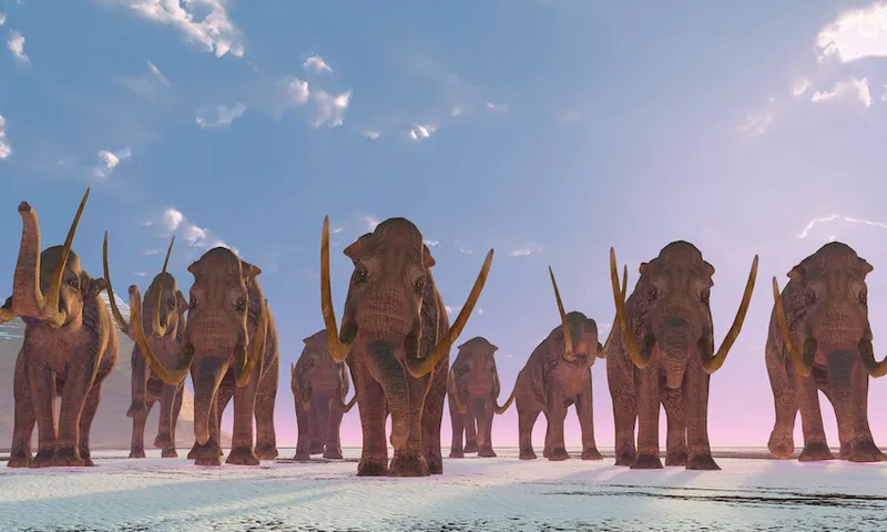 A herd of Columbian Mammoths migrate to a warmer climate as winter sets in.