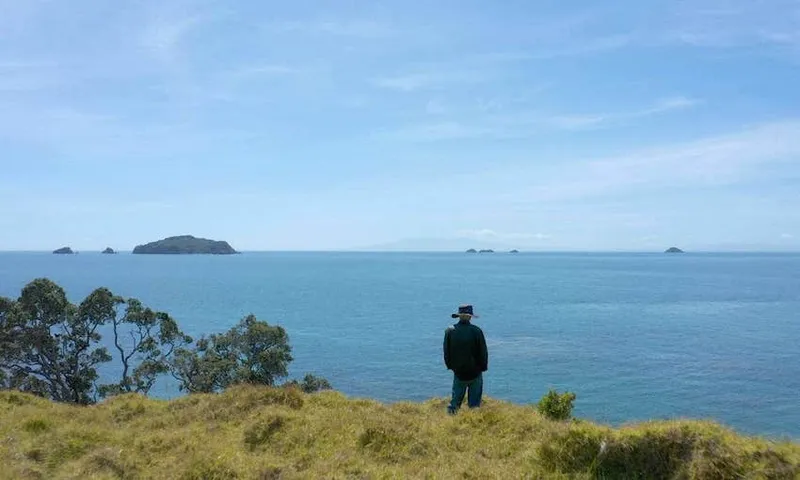 The man on an island