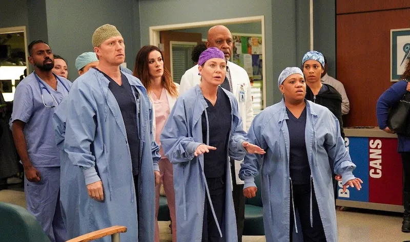 KEVIN MCKIDD, JAMES PICKENS JR.., CHANDRA WILSON, STEPHANIE KURTZUBA