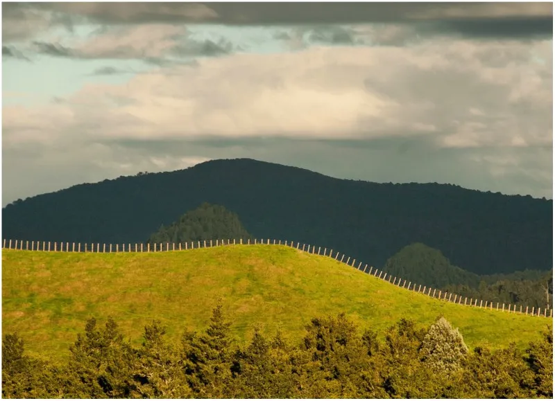 Landscape photograph of a fenceline following the top of a hill.