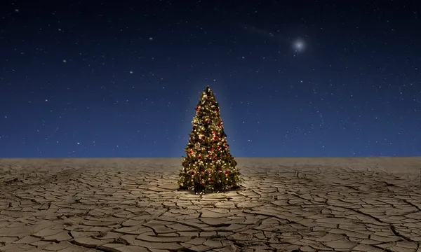 Christmas tree in the desert