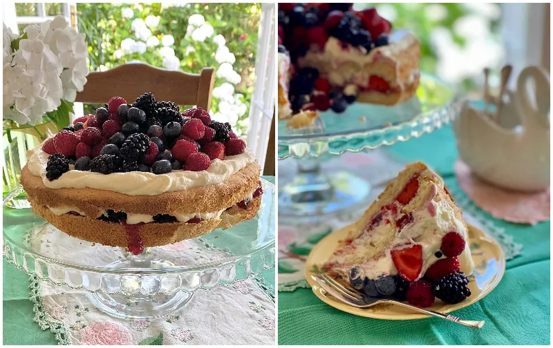 berry sponge cake