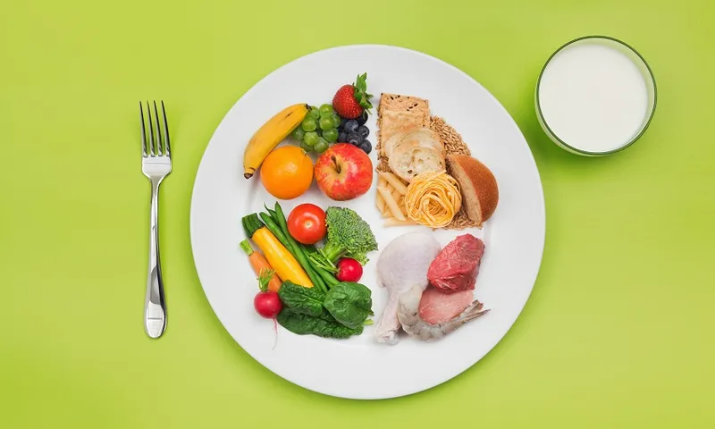 ChooseMyPlate Healthy Food and Plate of USDA Balanced Diet Recommendation