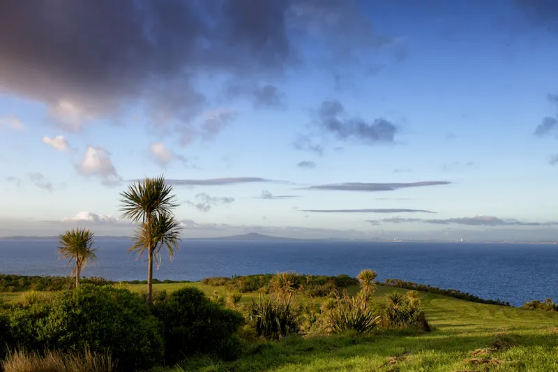 View to the Hauraki Gulf from Tiritiri Matangi Island