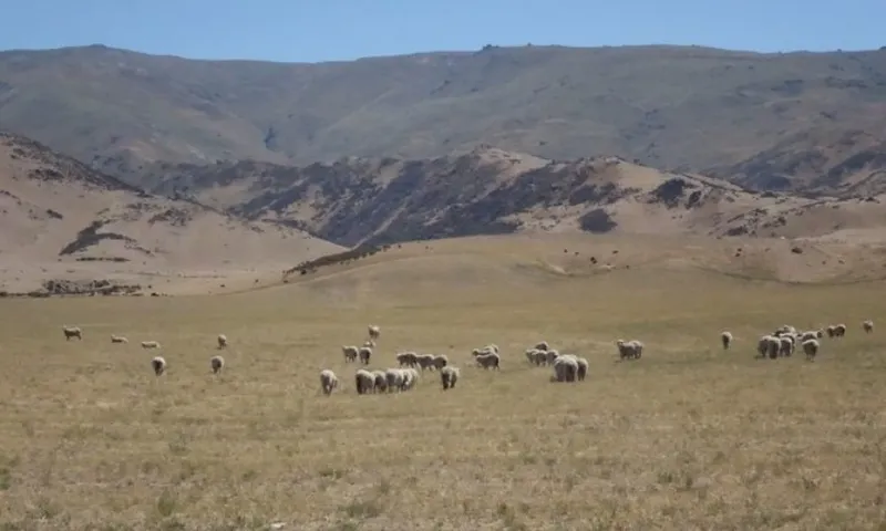 radio nz ian telfer drought 2018