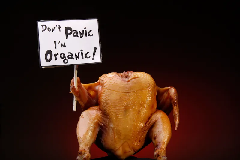 Organic Turkey Protesting