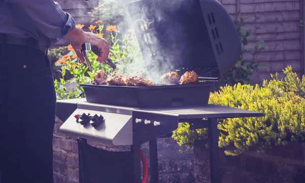 barbecue stock photo supplied