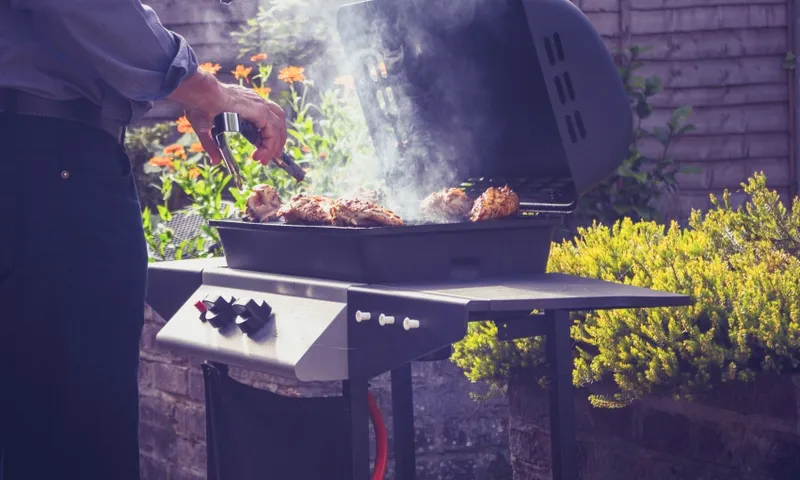 barbecue stock photo supplied