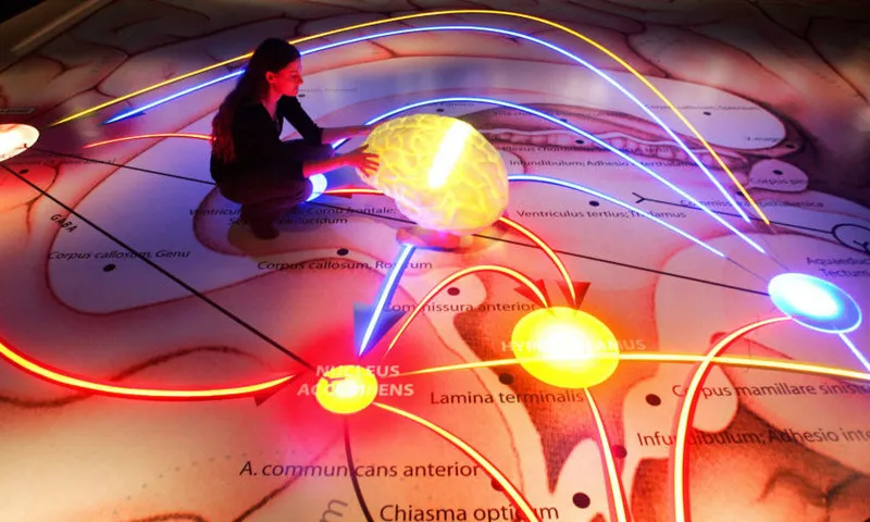 A woman inspects an exhibit featuring ne