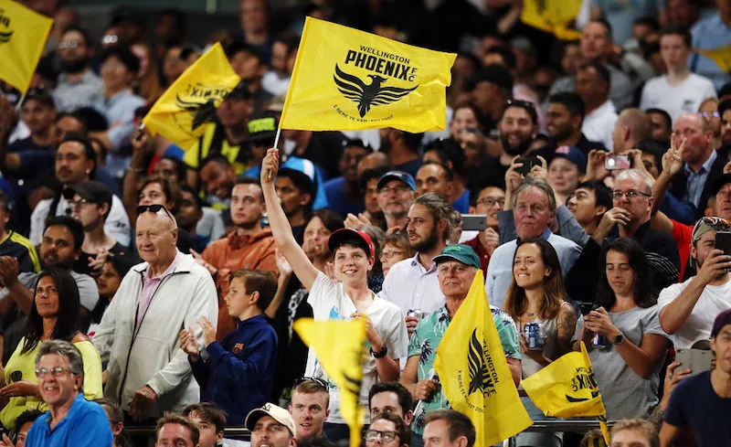 A-League Rd 19 - Wellington v Melbourne Victory
